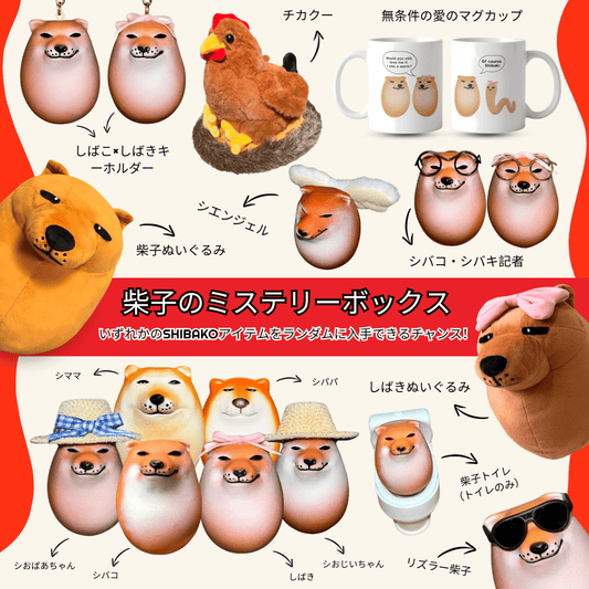 Shibako Mystery Box (Best Seller)