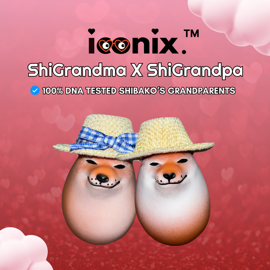 ShiGrandma X ShiGrandpa Bundle