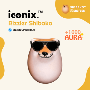 Shibako™ Exclusives – iconixStore™