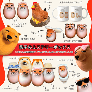 ミステリーボックス 81-2361 エアクリーナーボックス Z1/Z2 1個 PMC 【通販モノタロウ】