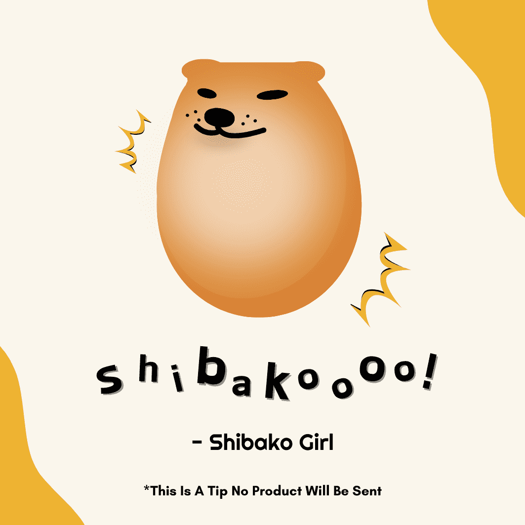 Tips For Shibako Girl